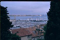 Cannes037