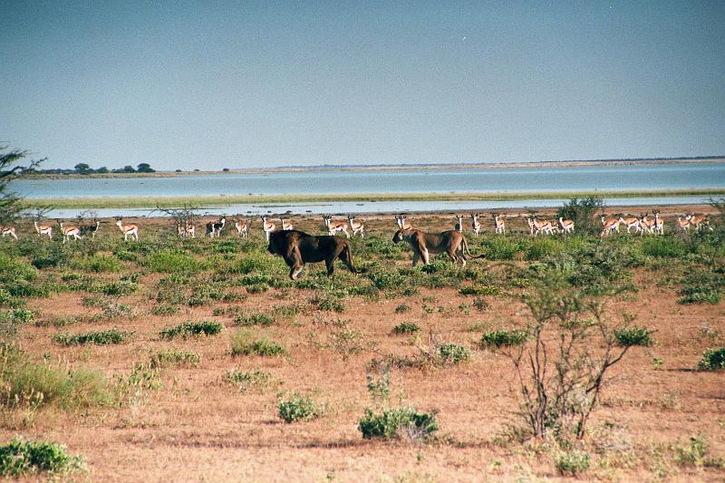 Namibia0261