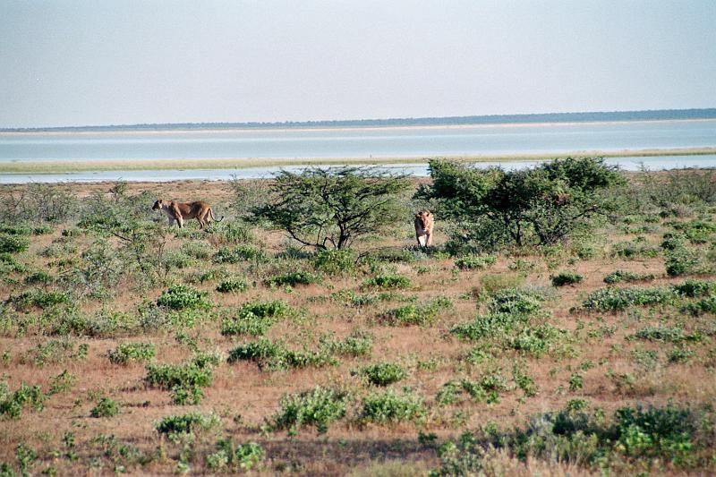 Namibia0262