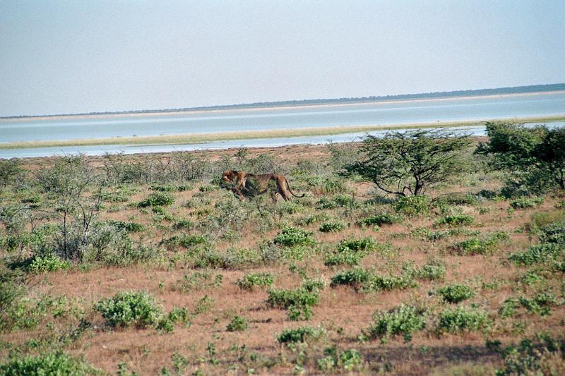 Namibia0263
