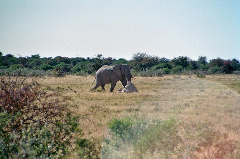 Namibia0271
