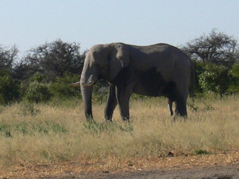 Namibia0277