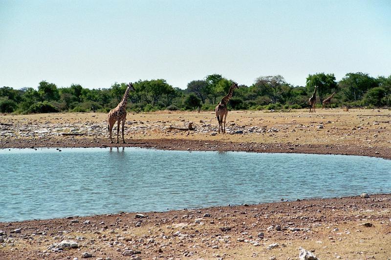 Namibia0284