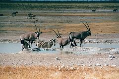 Namibia0192