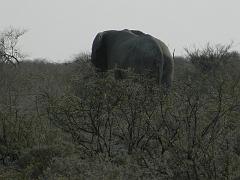 NamibiaBotswana160