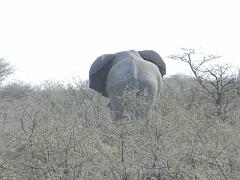 NamibiaBotswana161