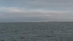 20251012_175945